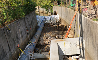 Herring Passage and Smelt Habitat Restoration